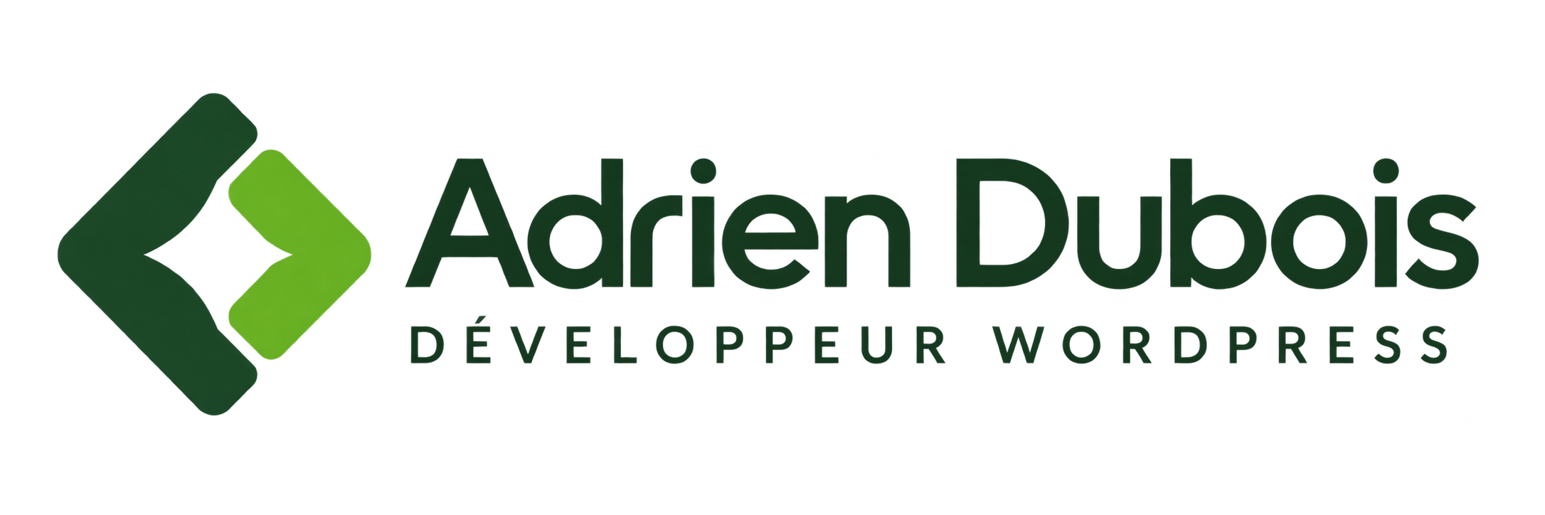 Adrien Dubois — Développeur WordPress
